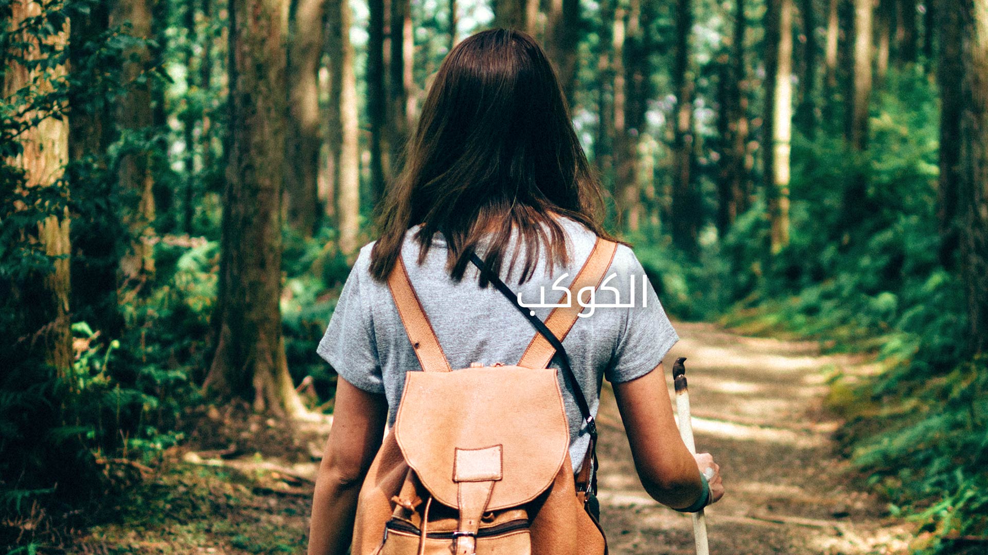 الكوكب